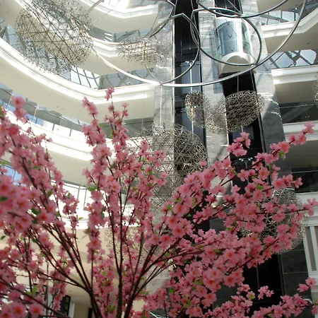 Port River & 5* シダ