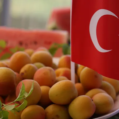 酒店 Port River & 5*