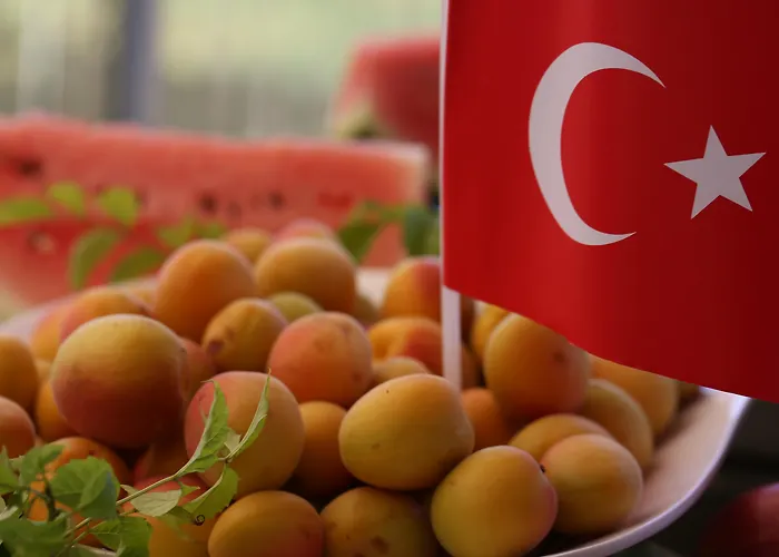 호텔 Port River & 5*